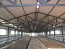 中国 適用範囲が広く高いスペース利用を用いる耐久のプレハブの鋼鉄組み立て牛/馬システム 工場