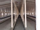中国 繁殖の鶏のための鋼鉄サンドイッチ パネルの物質的な家禽の鋼鉄組み立てシステム 工場